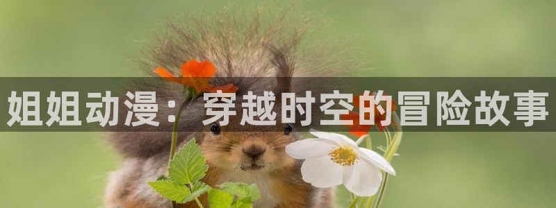 动漫岛怎么没了：姐姐动漫：穿越时空的冒险故事