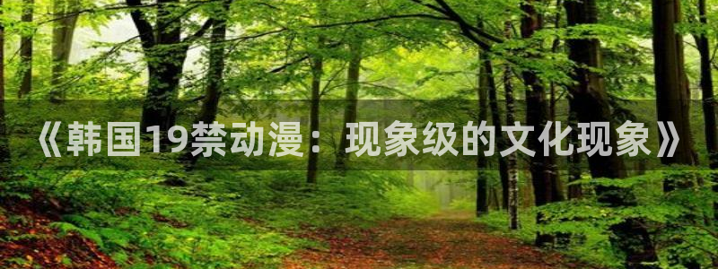 动漫岛十八：《韩国19禁动漫：现象级的文化现象》